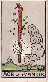 Туз Жезлов (Ace of Wands) — карта Таро колоды Уэйта-Смит